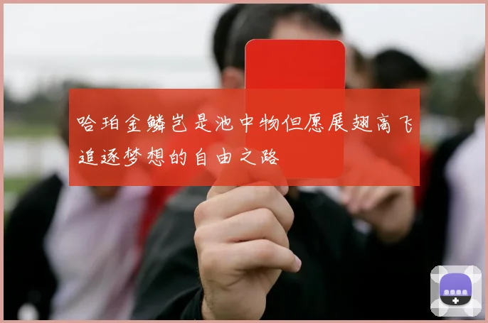 哈珀金鳞岂是池中物但愿展翅高飞追逐梦想的自由之路