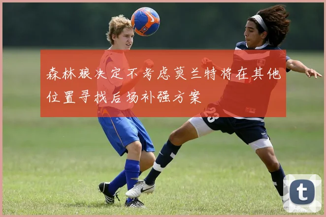 森林狼决定不考虑莫兰特将在其他位置寻找后场补强方案